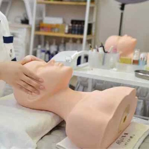 Big Half Body Soft Silicone Mannequin Head For Makeup Massage Practice Model - Picture 1 of 14