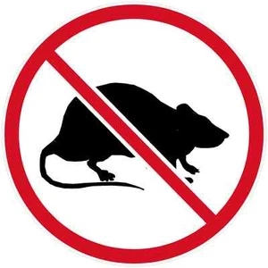 No Rats Union Decal Labor Scabs Rat Gloss Vinyl Hard Hat Helmet Sticker choose - Imagen 1 de 1
