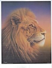8 x 10 Litho Wall Art Print & Decor of a Head shot of a Wild African Lion