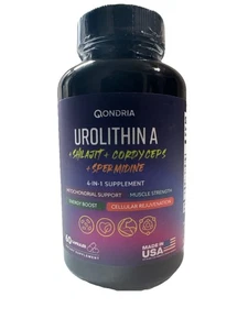 Qondria Urolithin A + Shilajit, Cordycepts, Spermidin Supplement 500 mg 60 Kapseln - Bild 1 von 4