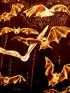 Bats T-shirt Youth New Size Medium, Glows in Dark, Black, Wrap-Around ~ Quality - Picture 1 of 3
