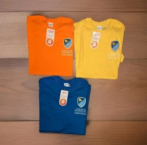 RARE LOT OF 3 NEW CHOATE ROSEMARY HALL T-SHIRTS MEDIUM UNISEX BLUE ORANGE YELLOW - Picture 1 of 10