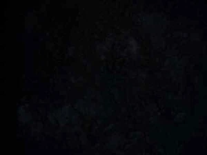 Ivory Black JU - Kremer Artist Dry Powder Pigments - Picture 1 of 3