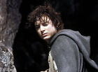 LORD OF THE RINGS PHOTO - RETURN OF THE KING - ELIJAH WOOD (P1) IN 20X27 CM