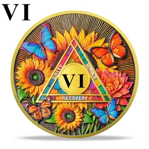6 Years Sobriety Coin Sunlight Butterfly Flowers AA Chips Medallion Sober Gifts - Picture 1 of 17