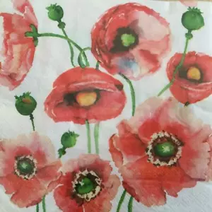 PAPER NAPKINS / SERVIETTES PACK OF 20 POPPIES WITH GREEN BUDS 3PLY - Picture 1 of 2