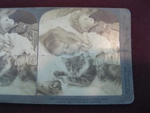 Stereoview Underwood & Underwood Fast Friends The Gates Of Sleepy Land (O) AS IS - Picture 1 of 4