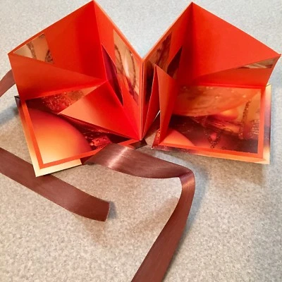 NUEVO HECHO A MANO Acordeón Foto Memoria Libro de Regalo con Corbata de Cinta. Brillo Navidad Foto 1 de 4