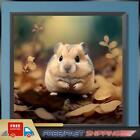 Paint By Numbers Kit On Canvas DIY Oil Art Flower Hamster Home Decor 30x30cm