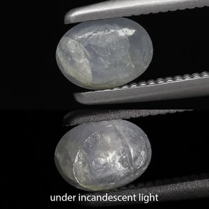 0,58ct 5,3x3,8mm Oval Cabochon Natürliches Unbeheiztes Licht 6 Strahlen Blauer Saphir, Burma - Bild 1 von 4