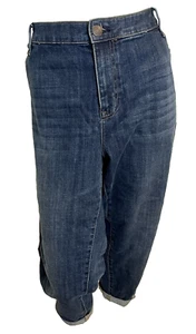 Talbots Woman Petite Girlfriend Distressed Straight Leg Jeans Size 22WP - Picture 1 of 4