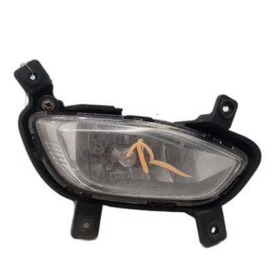 Passenger Corner/Park Light Fog-driving Sedan Fits 12-15 RIO 1347595 - Image 1 of 4