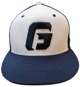 Gorra Georgia Bulldogs Nike (Flex Fit) Dri-Fit - Imagen 1 de 7