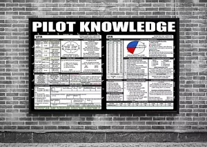 Pilot Knowledge Home Decor Wall Art Gift Poster - Picture 1 of 1