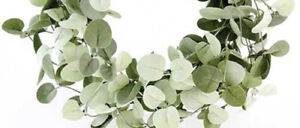 New Dusty Sage Green Silver Dollar Eucalyptus Garland Swag Vine 6 ft. Long