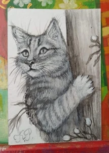 ACEO cat watercolor by the author original 3,5"х2,5" 9x6cm not print - Picture 1 of 1