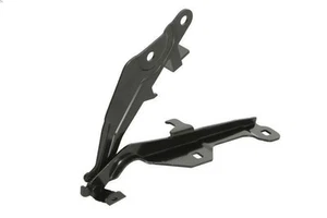 Motorhaube - Teile BLIC 6802-00-2589452P für FORD USA MUSTANG Coupe 5 2017-2023 - Bild 1 von 6
