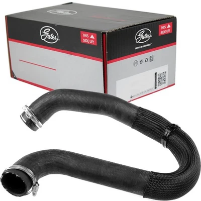 GATES Tubo Admisión Apto para Citroën Jumpy Spacetourer Fiat Scudo Opel - Imagen 1 de 2