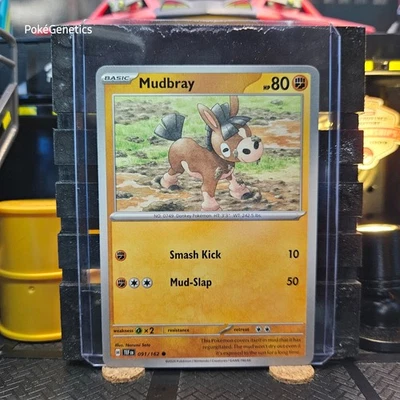 Mudbray Temporal Forces Pokémon TCG 091/162 Scarlet & Violet SV05 Common - Image 1 of 4