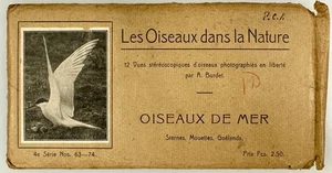 SV028_006 Stereoviews Set of 12 Collection of Our Birds by Adolphe Burdet, - Picture 1 of 3