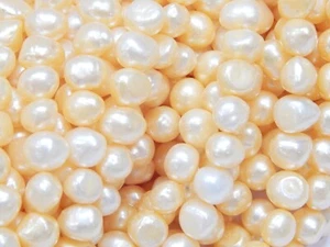 Zuchtperlen Natur 8mm Creme  Apricot Reiskorn Süßwasserperlen Schmuck Perle D488 - Bild 1 von 5