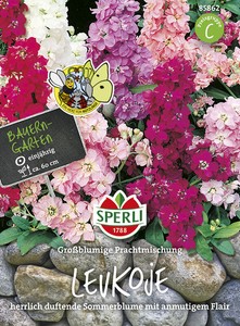 Levkoje 'Großblumige Prachtmischung' - Matthiola incana Bauerngarten Samen 85862