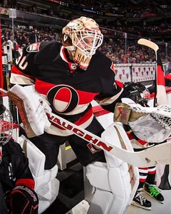 Andrew Hammond tritt zum Aufwärmen Ottawa Senators 8 x 10 NHL Hockey Foto aus - Bild 1 von 1