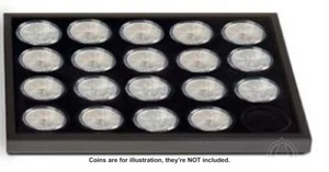 Extra Tablett für 20 ASE American Silver Eagle Münzen in Präsentation / Vitrine - Bild 1 von 7