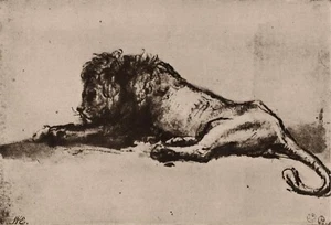 Striking REMBRANDT Antique Print "The Great Young Lion Study" Framed SIGNED COA - Picture 1 of 2