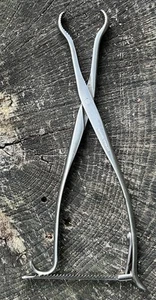 Dentista VINTAGE INOX - strumento medico pinza tissutale estratto medico chirurgico - Foto 1 di 9