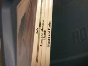 4 NEUE Eyes on Nature Bücher. Fledermäuse, Affen, Eidechsen, Pferde - Bild 1 von 3