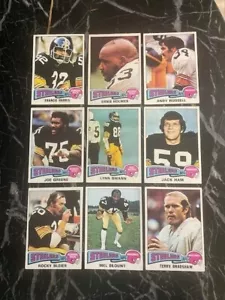1975 Topps Football Pittsburgh Steelers Team Set 19ct Swann, Blount, Bleier RC - Picture 1 of 4
