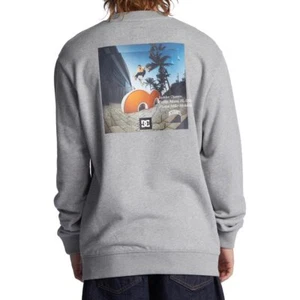 DC Jaakko Pullover Crew - Heather Grey - Picture 1 of 5