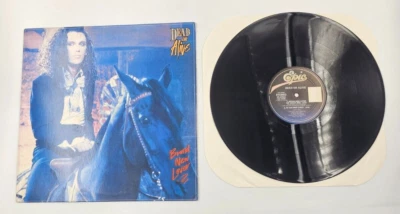 Dead Or Alive – Brand New Lover 12" single 1986 vinyl record Promotional promo - Image 1 of 2