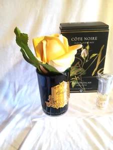 NEW Cote Noire Perfumed Diffuser-French Pink Rose, Black Vase, NEW - Picture 1 of 4