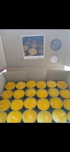 Citronella tealight candles Mosquito Repellent 6hrs 24-Pack - Picture 1 of 2