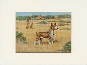 BASENJI OLD 1958 DOG ART PRINT MOUNTED Artist EDWIN MEGARGEE - Picture 1 of 1