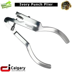 Ivory Punch Pliers Rubber Dam Instruments Dental Orthodontic Laboratory Forceps - Bild 1 von 3