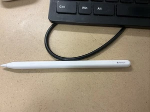 Apple Pencil (USB-C) - Weiß - Bild 1 von 1