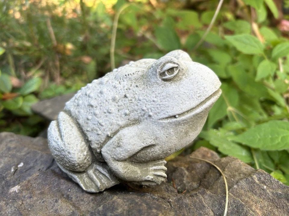 Small Stone Bullfrog Garden Ornament - Pond Statue Frog Toad Decoration Gift - Image 1 of 4