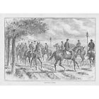 HORSES Young Ones at Exercise by John Sturgess - Antique Print 1894