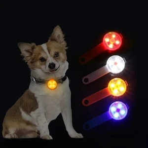 Collare per Cani Ricaricabile Luce Gatto Led Esterno - Cavo USB Passeggiata Notturna Sicuro - Foto 1 di 26