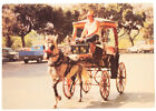 Malta, Karrozzin Horse-Drawn Cab (Cartolina). - 1992