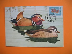 Card Maximum Korea - Carte Maximum Corée - Bird - Oiseaux  Canard mandarin - Picture 1 of 1
