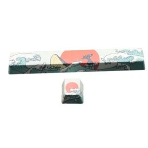 2 Keycaps for Mechanical Keyboard PBT Keycap OEM Profile Space ESC - Photo 1/8