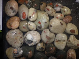 Small Pudding Stones 6 lbs 11.4 oz - Picture 1 of 7