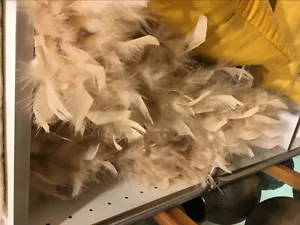 1 Yard Beige Chandelle Feather Fringe Turkey Feather Trim - Picture 1 of 2