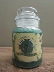Vintage Gold Canyon 1 Docht EINGESTELLT SELTEN stark duftende 5oz Bayberry Kerze - Bild 1 von 3
