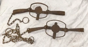 PAIR OF VINTAGE No.2 or 3 DOUBLE LONG SPRING ANIMAL TRAPS - Picture 1 of 8