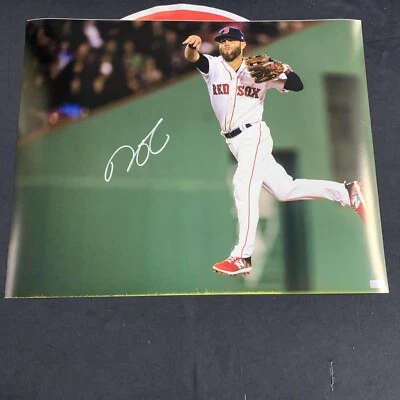 Imagen autografiada Steiner 16x20 firmada por Dustin Pedroia de los Medias Rojas de Boston Foto 1 de 4